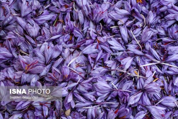 مبادلۀ گران ترین گل جهان، سر گذر ها و خیابان ها
